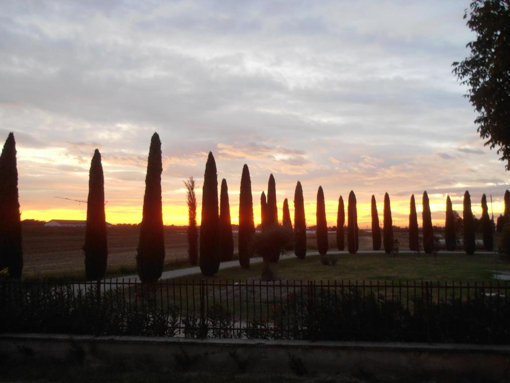 Bb Mambrotta Guest House San Martino Buon Albergo Bagian luar foto